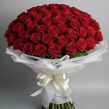 Букет 101 Красная роза Блэк Мэджик в Ленинском Ставропольского края