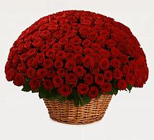 Премиум букет из: Розы в Ленинском Ставропольского края